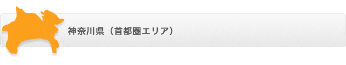 神奈川県（横浜・川崎・相模原）
